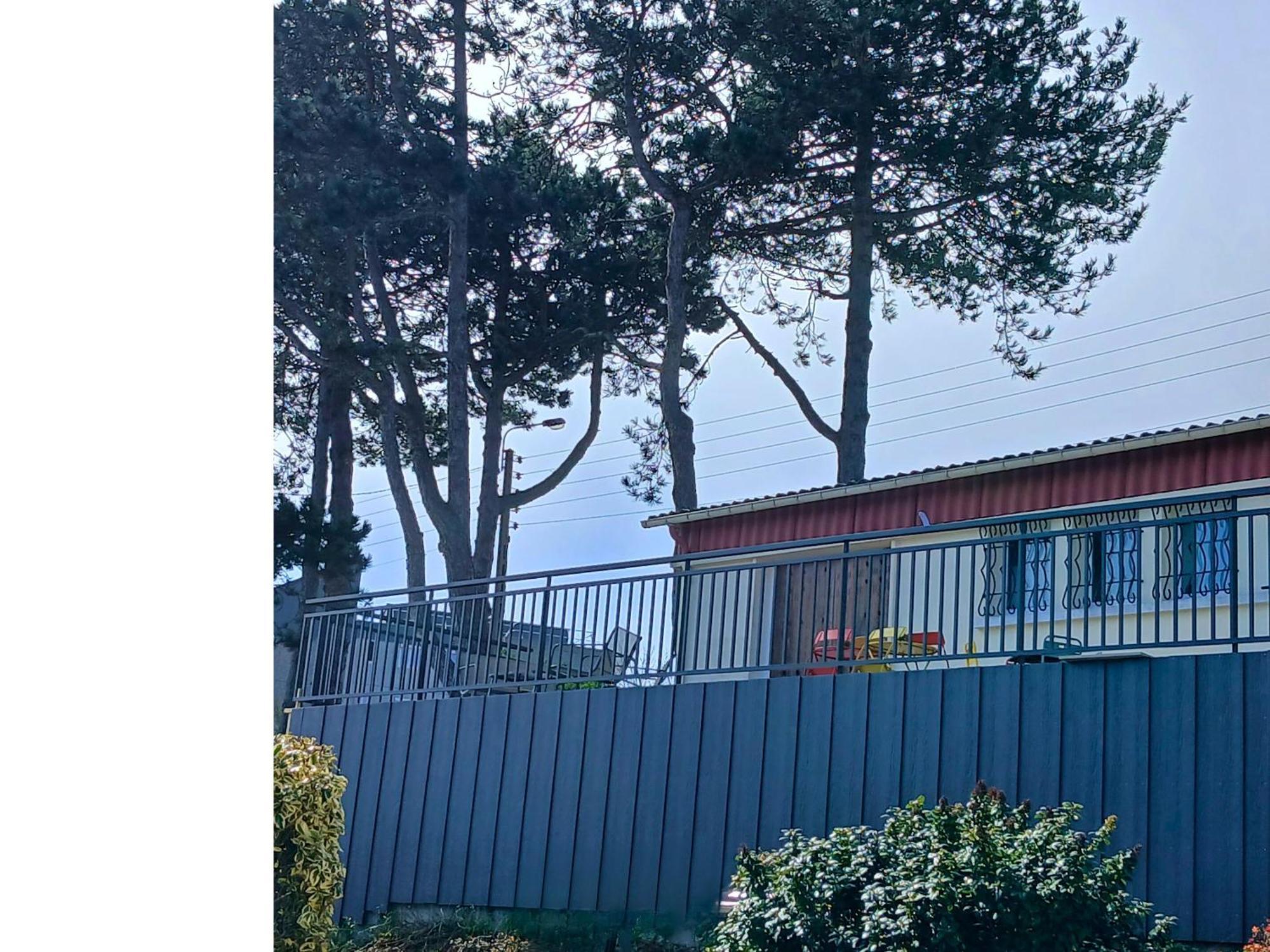 Le Tréport Le Domaine Des Pins - Maison 2 Chambres Vue Mer מראה חיצוני תמונה